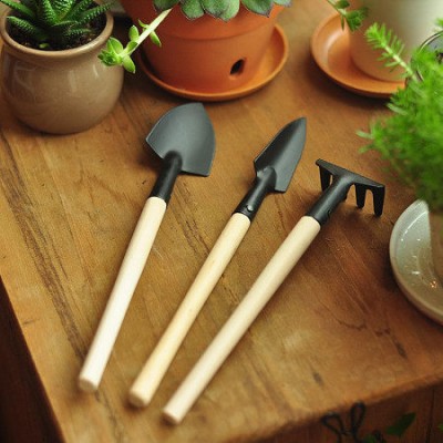 Top Quality 3pcs/set Mini Garden Plant Tool Set With Wooden Handle Gardening Tool Shovel Rake